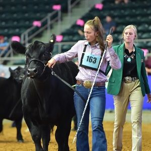 Meet your Posher, Kelsey